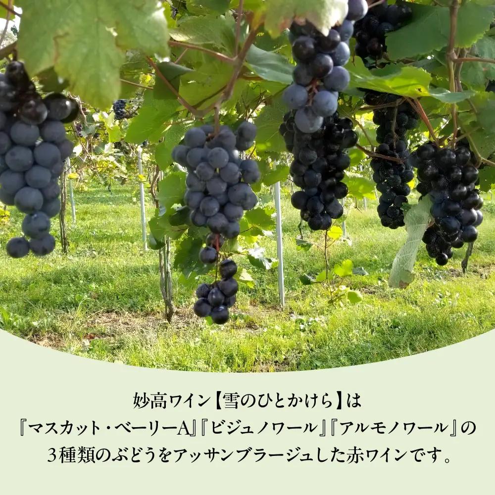 妙高ワイン【雪のひとかけら 2023＆2024】 数量限定