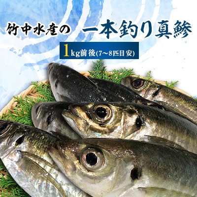 竹中水産の一本釣り真鯵!1キロ前後【C22−238】【配送不可地域：離島・北海道・沖縄県・東北・関東・信越、北陸・東海・九州】【1073399】