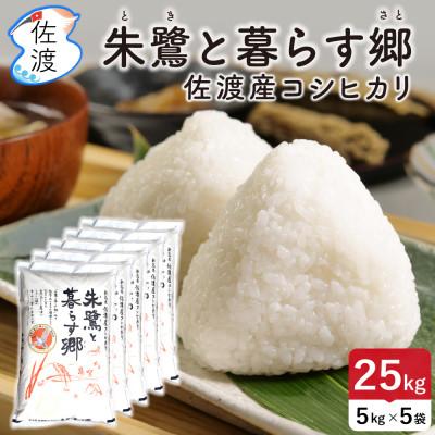 ふるさと納税 佐渡市 佐渡島産コシヒカリ「朱鷺と暮らす郷」無洗米25kg(5kg×5袋) 令和7年産 特別栽培米
