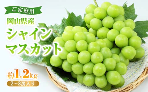 
            先行受付 ＜2025年9月中旬頃より発送予定＞岡山県産シャインマスカット(ご家庭用） TY0-0323
          