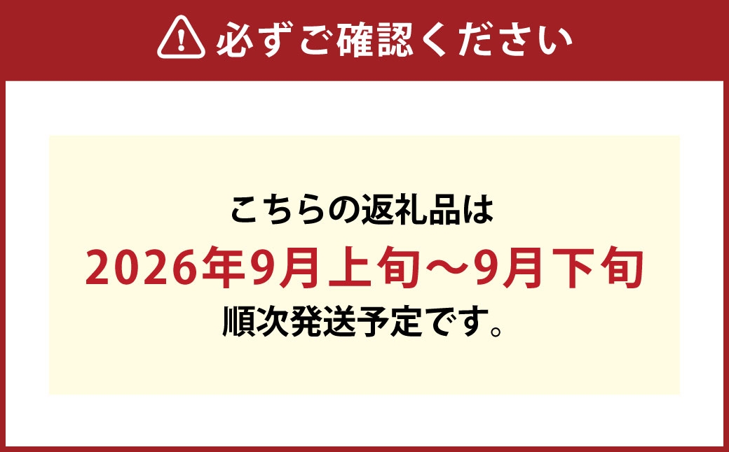 岡山県産黄金桃6玉（1玉240g以上）