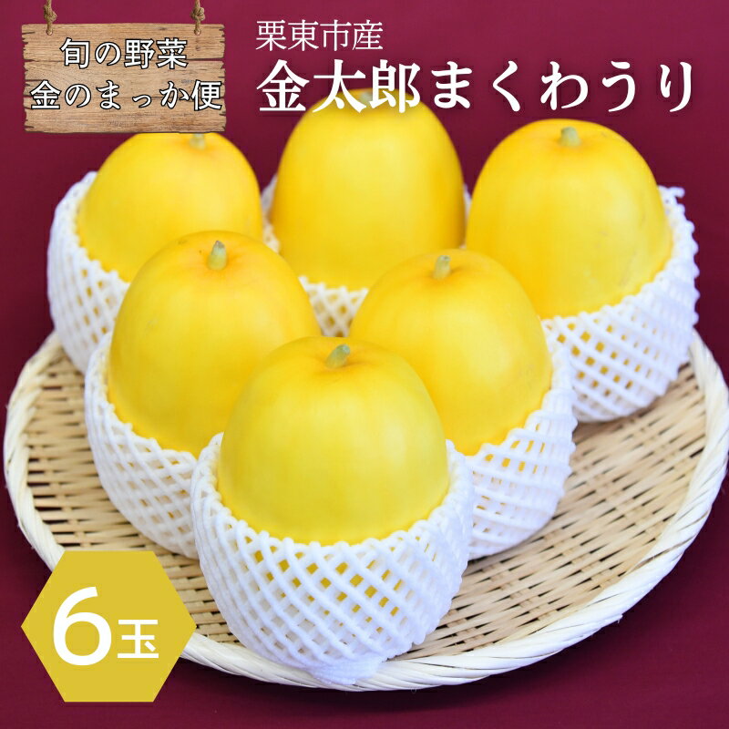 【ふるさと納税】【2025年7月下旬より順次出荷】旬の野菜 金のまっか便 まくわうり 6玉 果物 くだもの フルーツ メロン マクワウリ　お届け：2025年7月下旬～2025年9月中旬頃まで