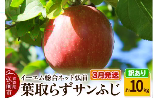 【26年3月クール便発送】りんご【訳あり】葉取らず サンふじ 約10kg 糖度 13度以上 EMりんご