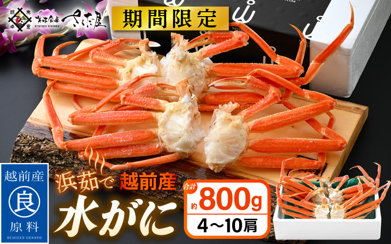 
            【期間限定】浜茹で 越前産 水がに 800g（4～10肩） 脱皮したてのずわいがに【福井県 越前町 かに カニ 蟹 ずわいがに ズワイガニ 雄 ズボガニ 水ガニ かに足  冷蔵 越前ガニ 越前かに 越前カニ】【2026年2月20日以降 順次発送予定】 [e04-x026]
          