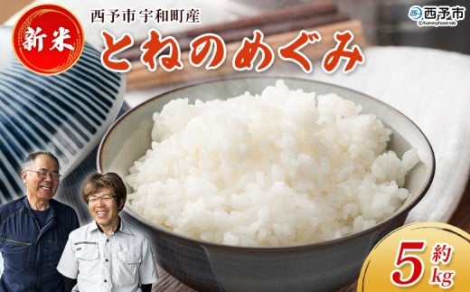 新米＜令和7年産 とねのめぐみ 約5kg 西予市宇和町産＞ 5キロ 白米 精米 お米 コメ こめ 宇和米 新米 うわまい ご飯 ごはん ライス 送料無料 産地直送 加茂ファーム 愛媛県 西予市【常温】『2025年10月末頃より順次発送予定』