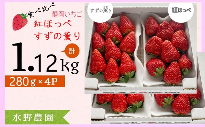 
６２７８　いちご 掛川産 完熟いちご 紅ほっぺ・すず薫り食べ比べ 280g×各２P 計４P 1.12ｋｇ (5～15粒入×4P) ①1月 ②2月の中から発送時期をお選び下さい 水野農園 ( ミズノ農園 ）
