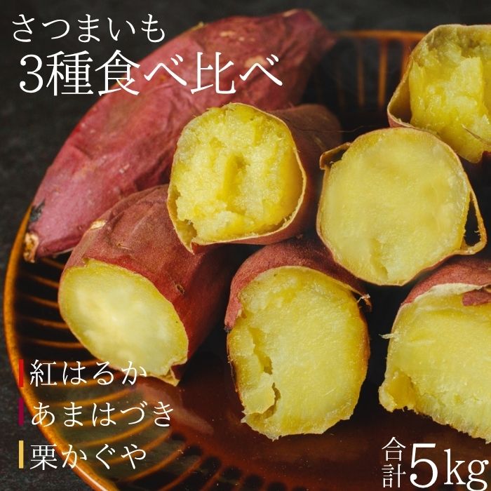 【ふるさと納税】 さつまいも セット 5kg サイズ おすすめ 先行予約 紅はるか あまはづき 栗かぐや おまかせ 5キロ サツマイモ さつま芋 薩摩芋 ポテト 焼き芋 てんぷら 秋 煮物 大学芋 干し芋 甘い あまい もっちり 産地直送 岩手県 滝沢市 送料無料 駿河農園ベジスル