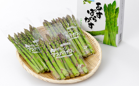2026年産 先行予約 北海道産 グリーンアスパラガス 正品 計1kg 北海道 JA上士幌町 野菜 アスパラ 産地直送 冷蔵便 ◆2026年5月中旬発送開始予定