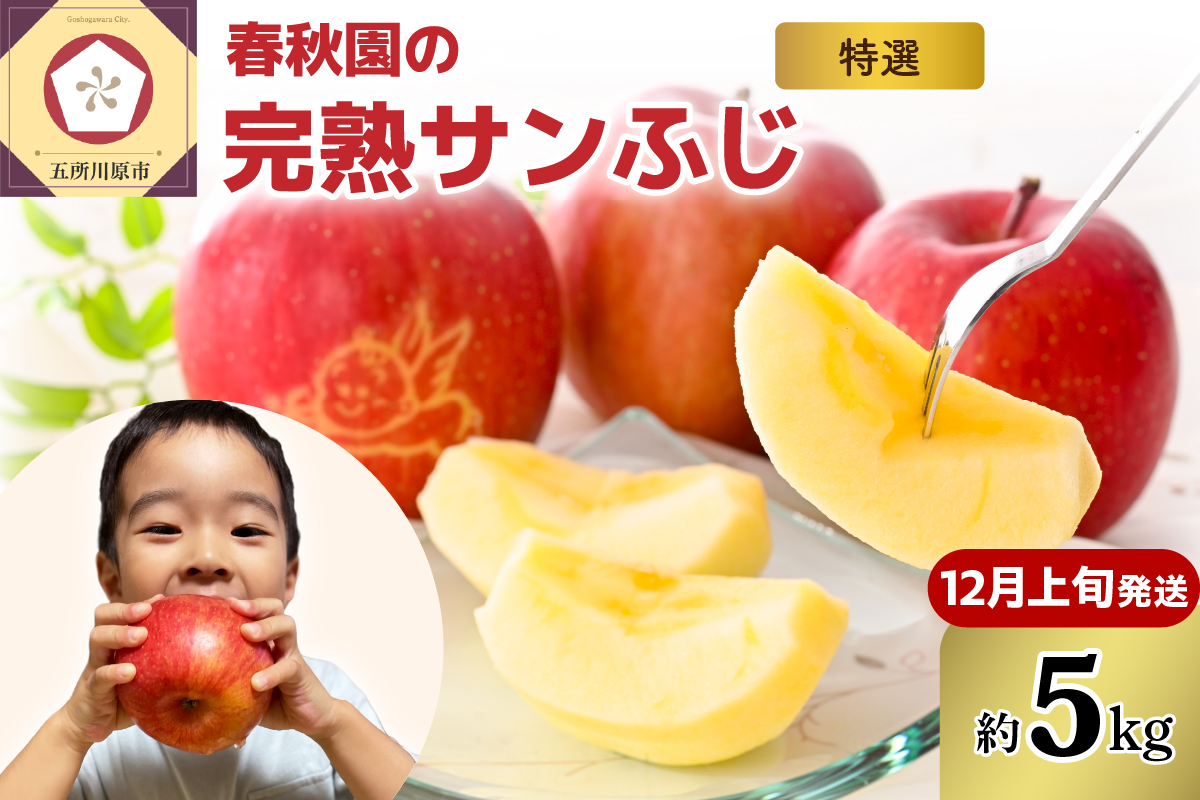 りんご 5kg　【2026年12月上旬発送】　青森産りんご 春秋園の最高級「特選」 大玉 完熟 サンふじ