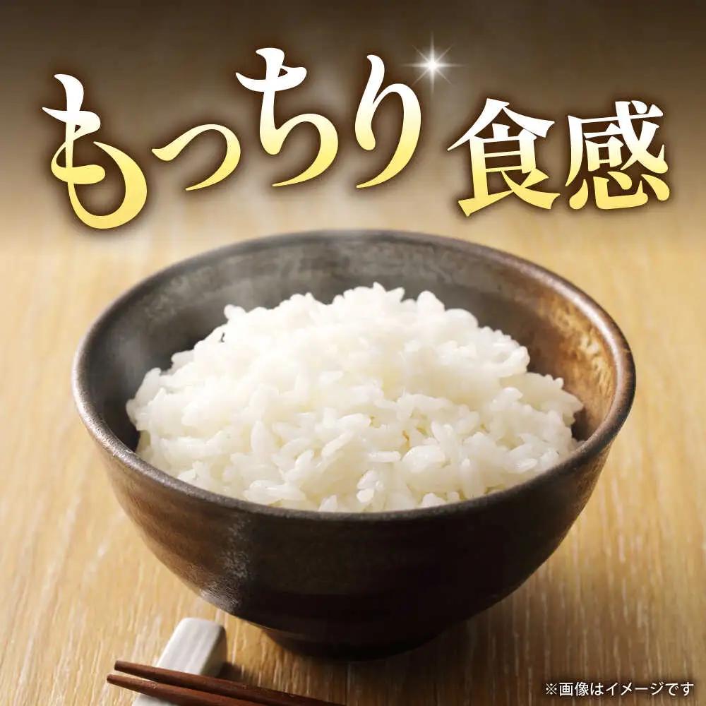 〈令和8年度産米〉先行予約 熊本県産 お米 森のくまさん 5kg 【すみれファーム】 令和7年産 [ZEP072]