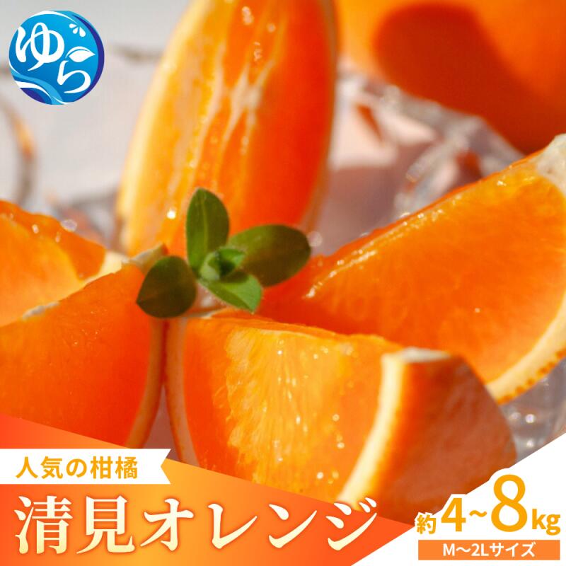 【ふるさと納税】【来シーズン先行予約】家庭用 清見オレンジ＜選べる容量＞ 約4kg・約8kg ※2026年3月上中旬～順次発送 / みかん 晩柑 人気 柑橘 スマイルカット 蜜柑 フルーツ 果物 くだもの 食品 人気 おすすめ 送料無料 産地直送 和歌山県 由良町