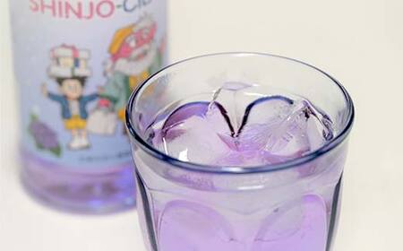 漫画家 冨樫義博氏デザイン「かむてん」を使用したラベル かむてん SHINJO-CIDER 340ml×3本 サイダー 炭酸 飲料 F3S-2236