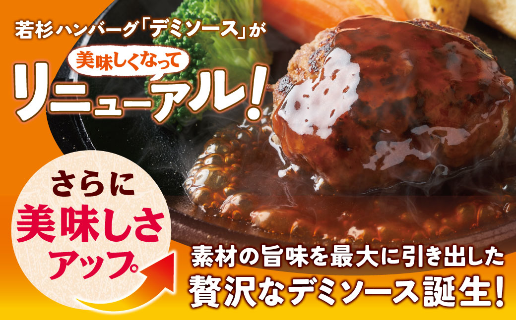 【7営業日以内発送】【累計460万個突破！】どっちの ハンバーグ !?デミグラスソース150g×20個セット（ビーフ・合挽 各10個） ハンバーグ 牛肉 豚肉 洋食 ハンバーグ はんばーぐ 大容量 冷