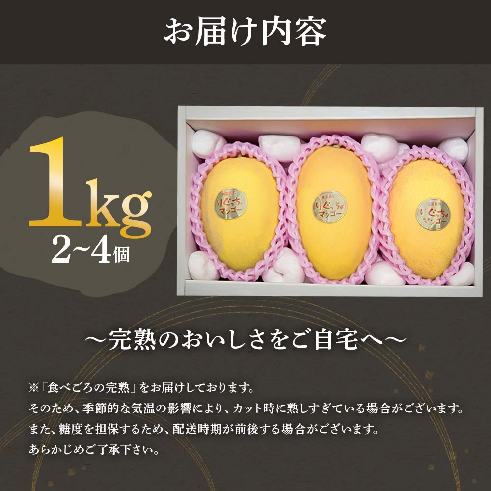 先行予約 レア品種 完熟金蜜マンゴー１kg（2個〜4個入り） 南国フルーツ 金蜜 きんみつ種 糖度20度以上 高糖度 果物 果汁 濃厚 ジューシー デザート ギフト プレゼント 送料無料【R00627