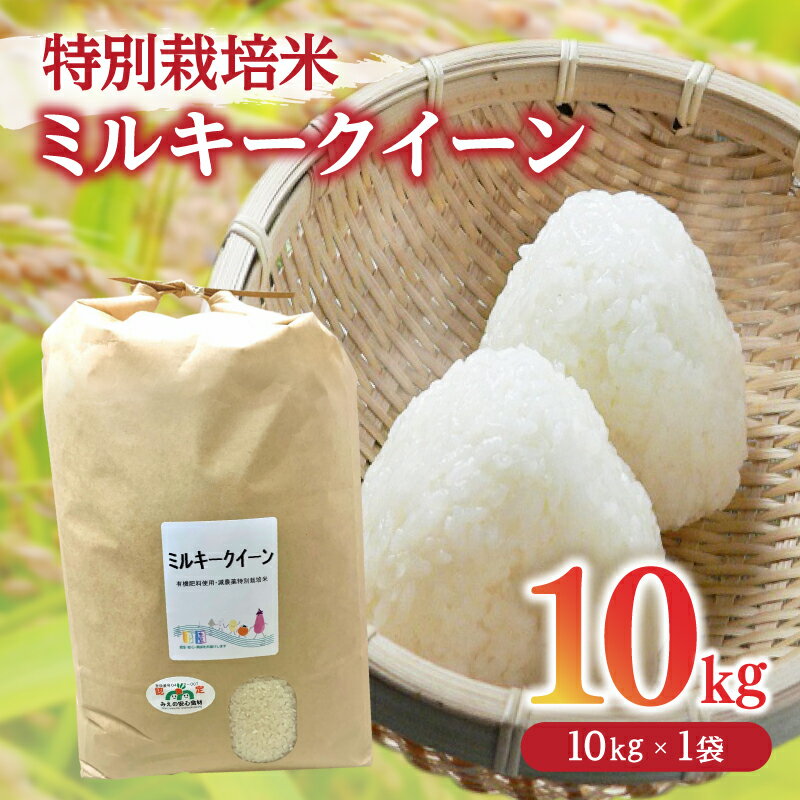 【ふるさと納税】ミルキークイーン＜特別栽培米＞精米 10kg（減農薬 有機肥料 お米 米 おこめ こめ 白米 みるきーくいーん）【田園】