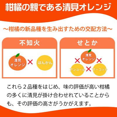G7067_【2026年先行予約】紀州有田産 清見 オレンジ 7.5kg【家庭用 訳あり】