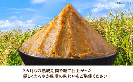 米味噌 2kg(1kg×2個) 【だいちの家】[HAG037]