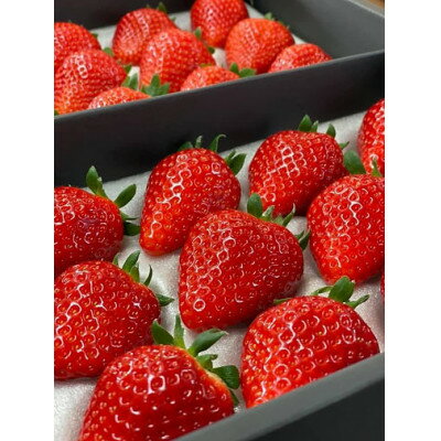 【ふるさと納税】とちひめ とちあいか食べ比べセット　各300g(計2パック)【配送不可地域：離島・沖縄県】【1712998】