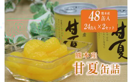 B242-50 甘夏缶詰（24缶入×2ケース）