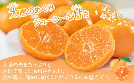 【2024年11月中旬より発送】極撰！温州みかん　約5kg |みかん フルーツ 旬 美味しい みかん 新鮮 フルーツ みかん 詰合せ セット フルーツ 人気 フルーツ 厳選 おすすめ フルーツ