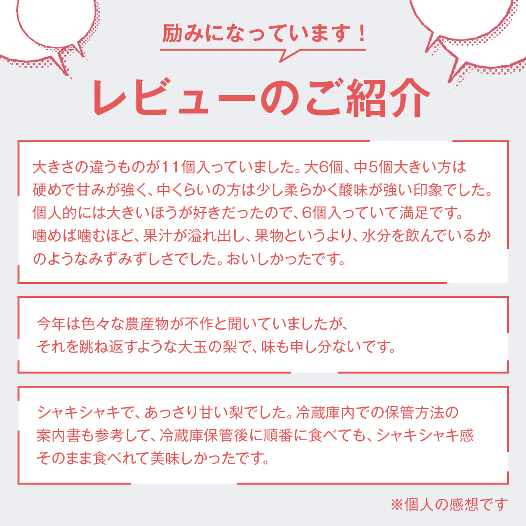 梨 新高 10kg（20～26個）【2025年10月より発送開始】（茨城県