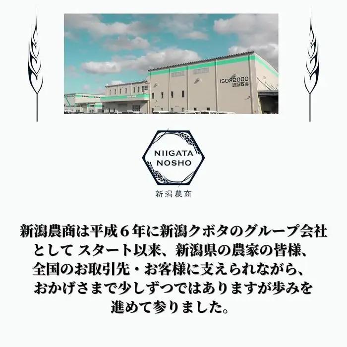 五ッ星マイスター厳選 　佐渡産こしひかり 5kg×2