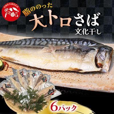 ふるさと納税 牛久市 大トロ さば文化干し 1枚 真空 6パック  ( 茨城県共通返礼品 :神栖市 )