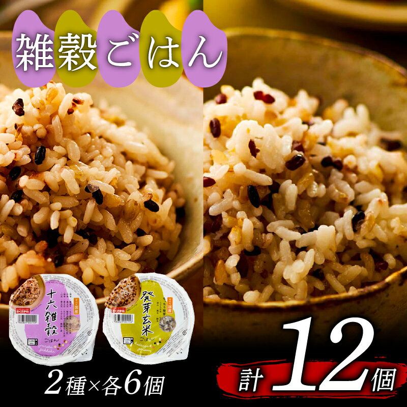 【ふるさと納税】 雑穀 ごはんパック 2種 セット 160g 12個 十六雑穀 発芽玄米 パックごはん パックご飯 ごはんパック ご飯パック パックライス パック 玄米 16雑穀 雑穀 米 ごはん ご飯 こめ ライス 備蓄 保存 防災 レンジ 温めるだけ 健康 ダイエット レトルト おくさま印