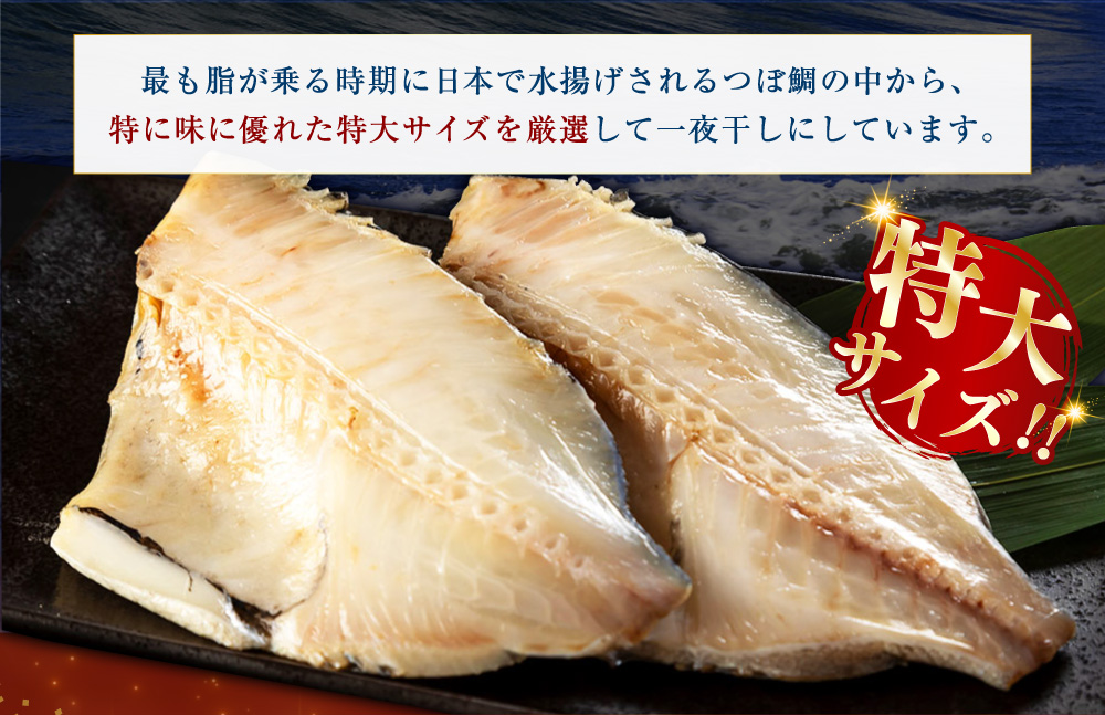【 14営業日以内に発送 】 釧之助 極旨つぼだい半身 100g × 5パック 計500g タイ たい 鯛 つぼ鯛 魚 魚類 魚介 魚介類 海鮮 干物 一夜干し おつまみ 晩酌 おかず 冷凍