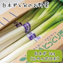 【ふるさと納税】AS07：白ネギと旬のお野菜セット