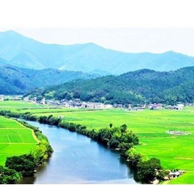 ふるさと納税 四万十町 新米7年産樽井商店の仁井田米　[ヒノヒカリ]　精米　3kg |  | 03