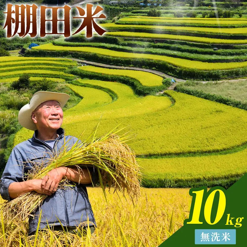 【先行予約】清流と寒暖差が生む村自慢の棚田米 無洗米 10kg《2026年11月以降順次出荷》 米