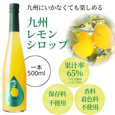 ふるさと納税 水俣市 九州を飲む! 九州果実 シロップ 九州レモン 500ml 1本 【福田農場】 |  | 01