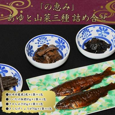 ふるさと納税 寒河江市 鮎と山菜三種佃煮 詰め合わせ 「の恵み」(あゆ甘露煮 しいたけ佃煮など) 010-G63