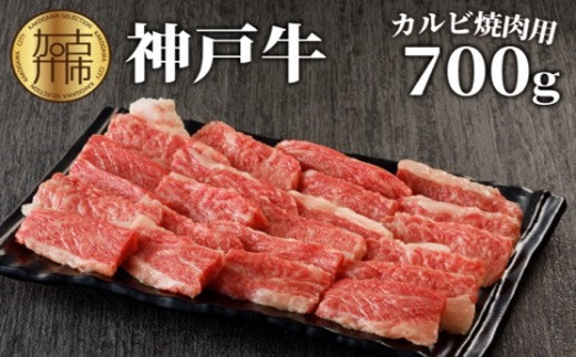 ★選べる配送月★【12月発送】神戸牛カルビ焼肉700g《 肉 カルビ 神戸牛 焼肉 国産 バーベキュー サシ 和牛 プレゼント ギフト お取り寄せ 送料無料 おすすめ 》【2402A00214-00】