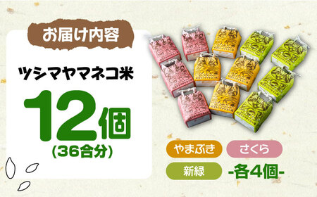 【令和5年産 】  特A 佐護 ツシマヤマネコ 米 3合 袋 いろどり 12個 セット《対馬市》【一般社団法人MIT】玄米 対馬 精米 減農薬 猫 ギフト [WAP004] コダワリお米 こだわりお米