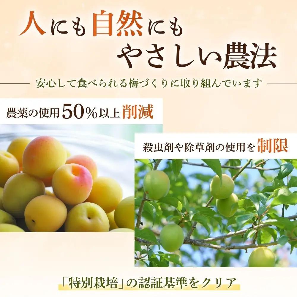 無添加梅干し ひょう被害エール規格外はちみつ梅干し 1kg（500gパックx2個）塩分6% 甘酸っぱい 蜂蜜漬け 6-HYO baiko016［KU12］【baiko016】