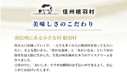 〈1週間以内発送〉マダガスカル産バニラビーンズ香る！バニラアイスクリーム& いなぶのブルーベリーアイス　(80ml)×16個セット