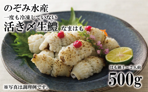 のぞみ水産 活〆 骨切り 生鱧 500g 【2024年5月上旬より順次発送】