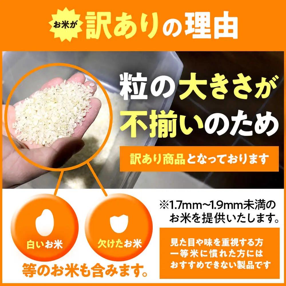 米【令和7年産】【訳あり】【数量限定】 家計応援米 10kg×1袋 / 小浜市 / 若狭の恵 [BFAG027]