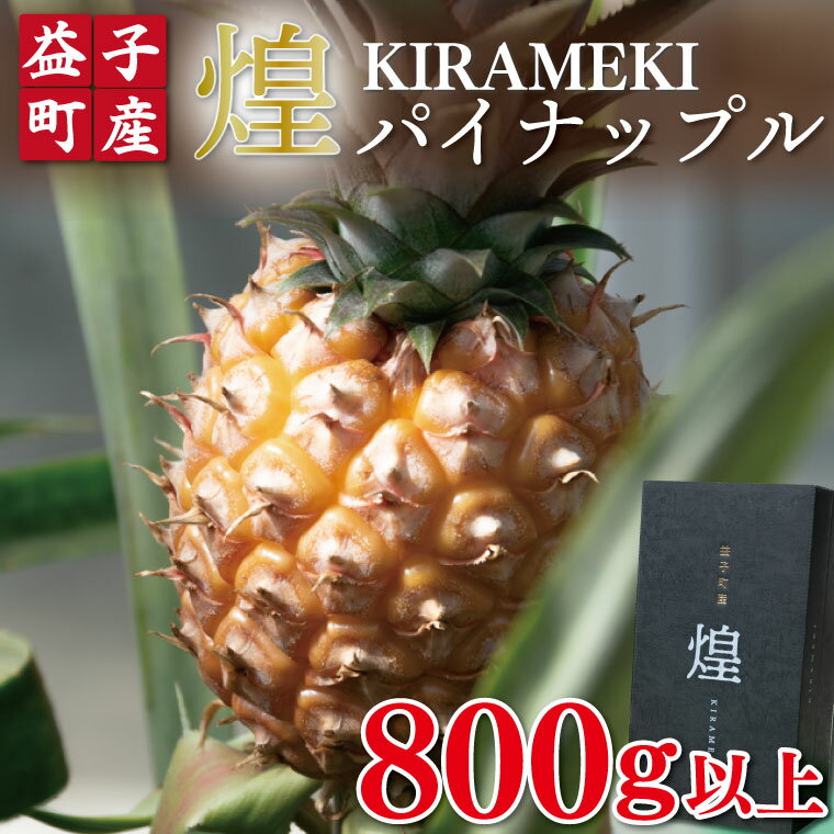 【ふるさと納税】【先行予約】【数量限定】煌 パイナップル 800g以上 | 7月中旬より順次発送 パイナップル フルーツ 果物 新鮮 旬 益子町産 (CA004)