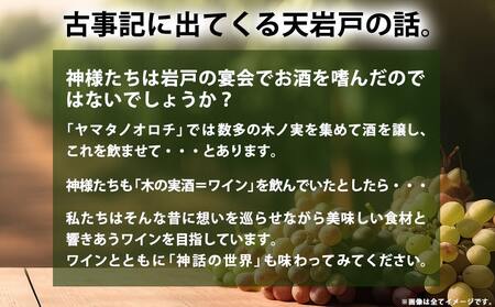 天孫降臨神話・海の神 ワイン2本セット ≪みやこんじょ特急便≫_11-2007_(都城市) 都城産ワイン ワイナリー 赤 辛口 ほんのり甘口 12度 13度 720ml KUMASOTAKERU