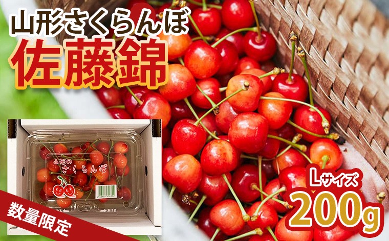
                  山形のさくらんぼ！食べきりサイズで大人気！佐藤錦 200g L玉 【令和9年産先行予約】FS25-060
                
