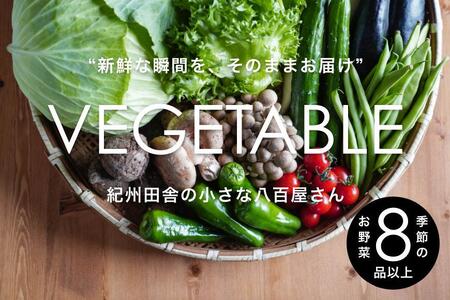 野菜 旬の新鮮野菜詰め合わせ 8種以上【野菜セット】　野菜 トマト 玉ねぎ キャベツ 野菜セット