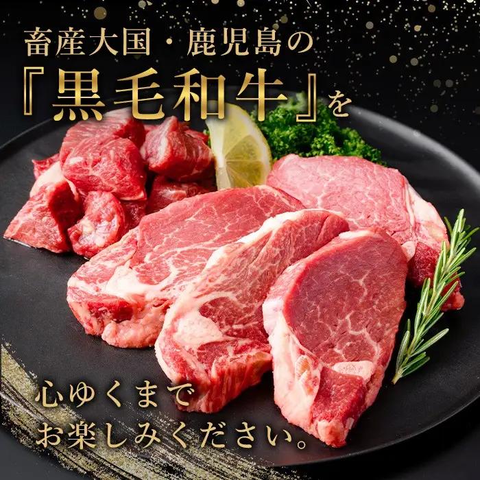 黒毛和牛ヒレステーキ 440g 鹿児島県産 2種 (220g×2P) 【LRプラスK】 No.546