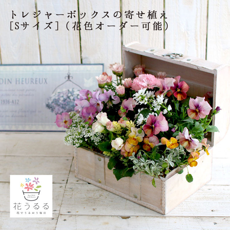 
            D015 花うるる おまかせ 寄せ植え トレジャーBOX [Sサイズ](玄関 春 夏 秋 冬 セット ギフト 花 フラワーギフト プレゼント 完成品 鉢植え お花 誕生日 女性 寄植え 母の日 妻 ガーデニング 新築祝い 記念日 開店祝い アレンジメント おしゃれ 鉢 完成品 屋外
          