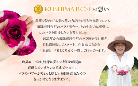 先行予約【6～9月中旬発送】お風呂用バラ200g 薔薇風呂 バラ風呂 花 入浴 芳香[Q1384pi] seas27