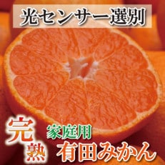 ＜2024年11月より発送＞家庭用 完熟有田みかん10kg+300g(傷み補償分)【訳あり】