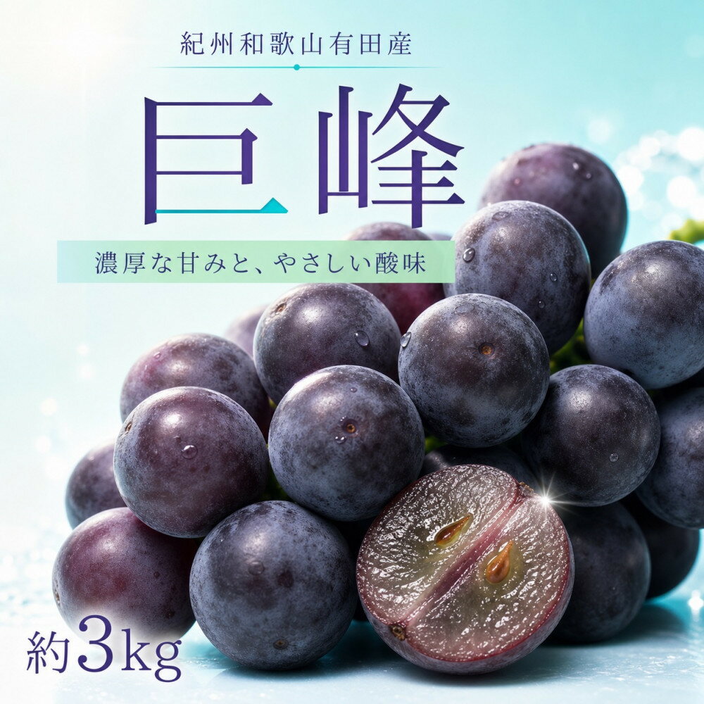 【ふるさと納税】紀州有田産の巨峰ぶどう約3kg【先行予約】【2026年8月下旬以降発送予定】 | 果物 フルーツ ぶどう ブドウ 葡萄 産直 産地直送 和歌山県 おすすめ お取り寄せ 先行予約 期間限定 数量限定