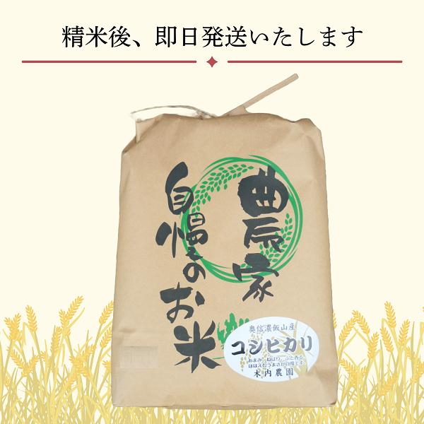 【先行予約】<令和７年産> 奥信濃飯山～木内ファームのお米～ コシヒカリ 精米 10㎏ (7-9A) コシヒカリ10ｋｇ